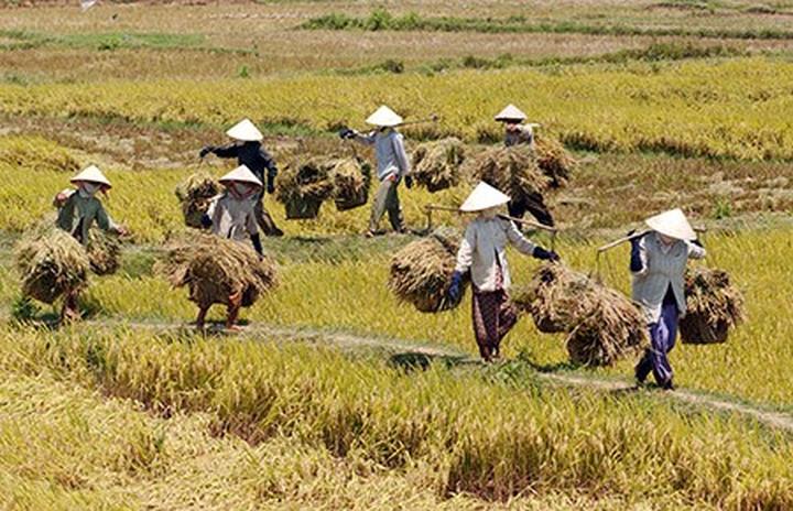 Hotspot Matrix: Biến Mẹ Cua Cốm khen vải trứng Phù thành cơ hội marketing đột phá