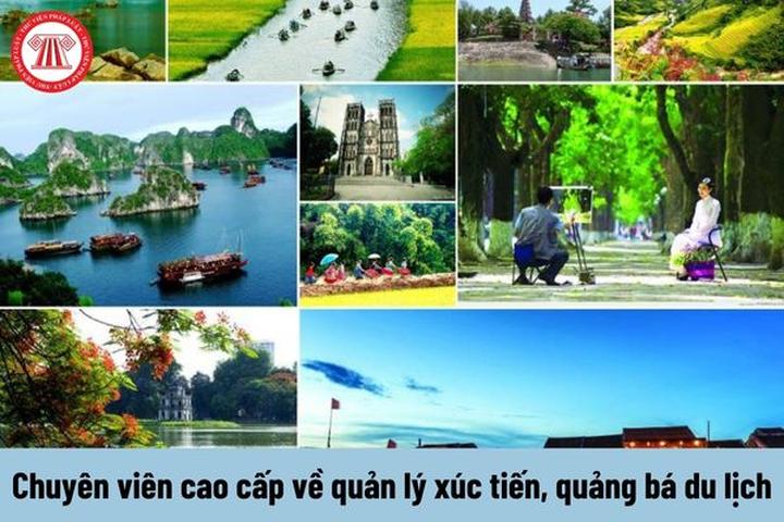 Trong những năm gần đây, xu hướng về thể thao và sức khỏe ngày càng trở nên