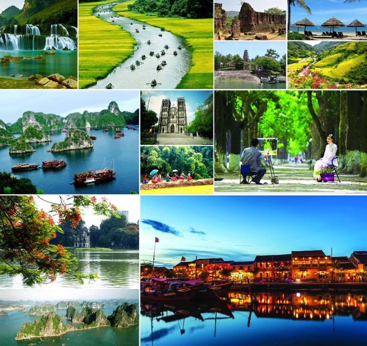 Loại cá được khen