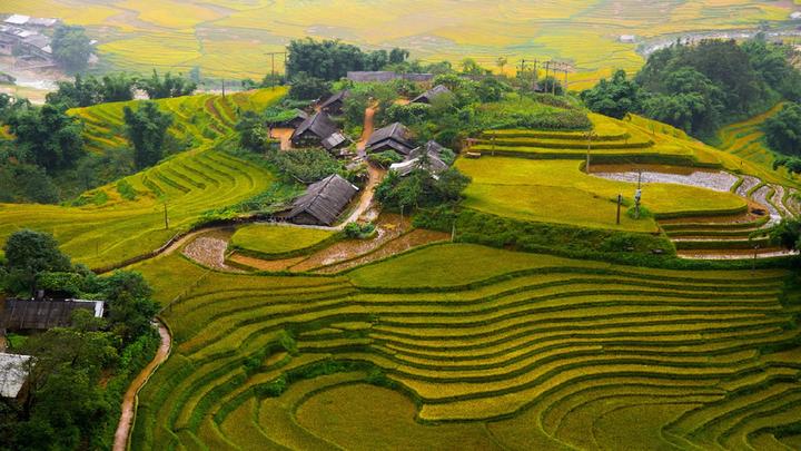 Nội dung: Mùa hè đang đầy vui vẻ với những xu hướng mới, và Huda Ice Twist đang chinh