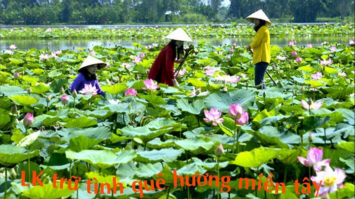 Chuyên gia Hotspot Matrix phân tích: Phú bà giàu sụ của Vbiz: Xây và marketing video