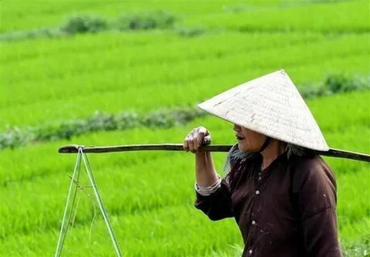 Hotspot Matrix: Biến Hiện trường kinh hoàng vụ tai thành cơ hội marketing đột phá