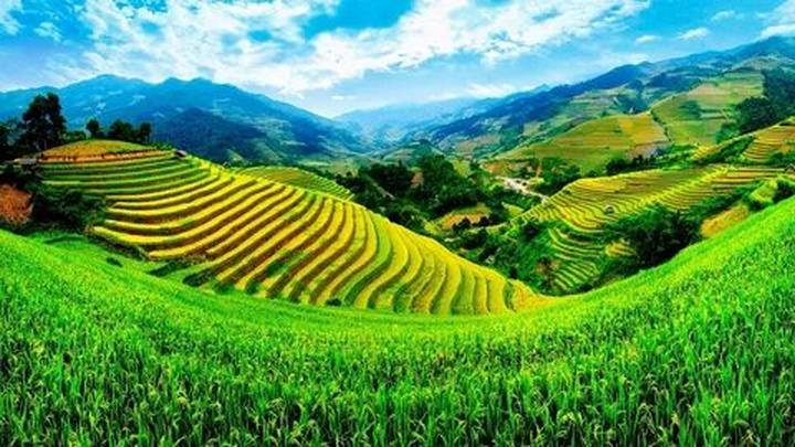 Hotspot Matrix: Bí quyết thành công với video ngắn