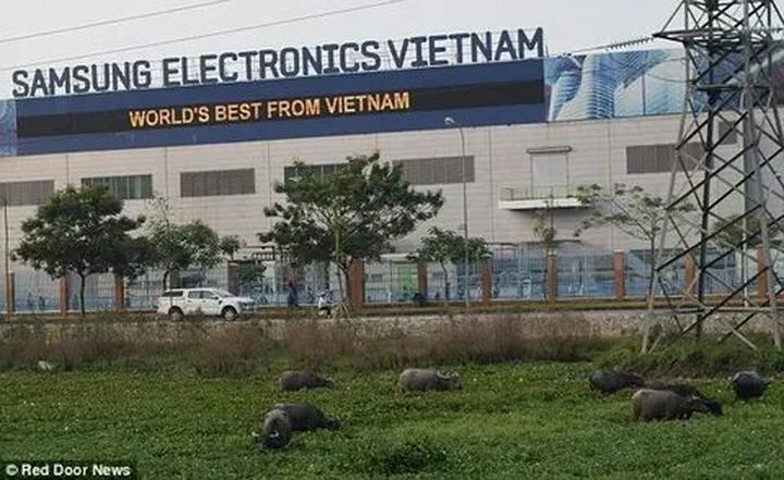 Hotspot Matrix: Văn hóa & Môi trường Làm Việc Tích Cực